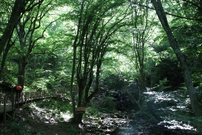 Sıcaktan bunalanlar soluğu Dupnisa Mağarası’nda alıyor